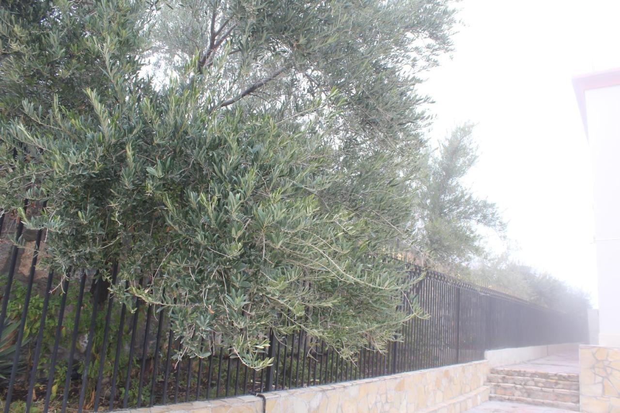 Asas Al Jabal Al Akhdar Apartments شقق أساس الجبل الأخضر Sayq Ngoại thất bức ảnh